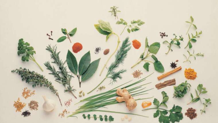 Harnessing Herbs for Men’s Vitality Enhancement